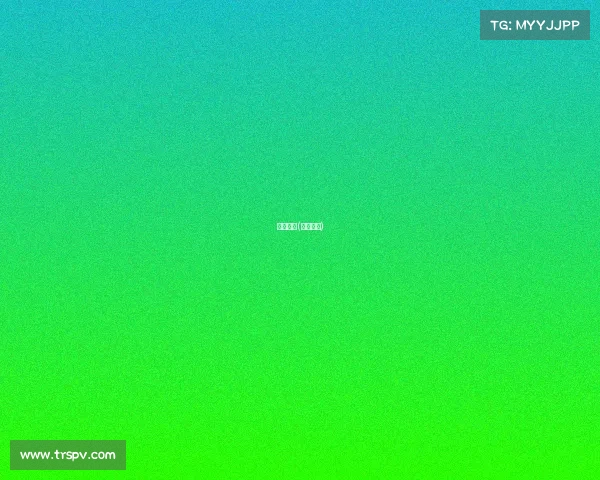 赛事路段(赛道赛事)